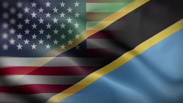 USA Tanzania Flag Loop Background 4K