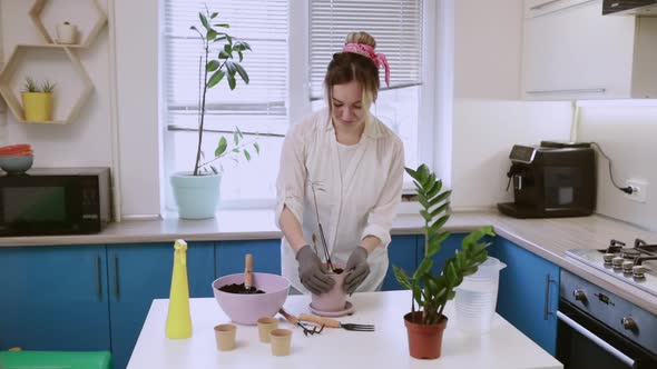 A Cute Girl Transplants a Plant at Home in Garden Gloves