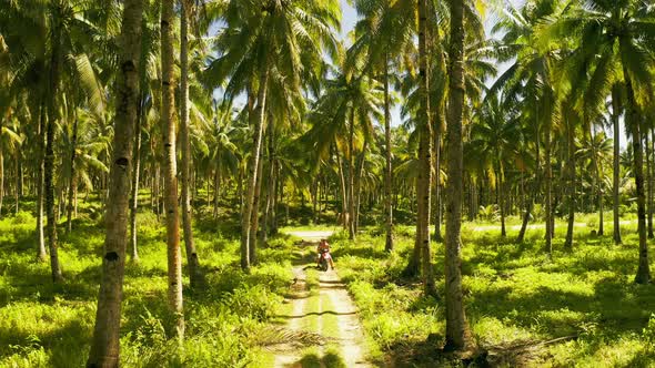 Aerial View of Young Couple of Tourists Riding a Motorbike on Among Coconut Palms in Siargao