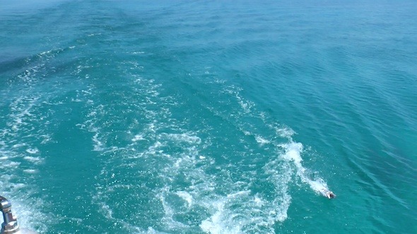 Barracuda Caught From Boat