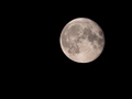 Moon Background Being Earth's Only Permanent Natural Satellite. - PhotoDune Item for Sale