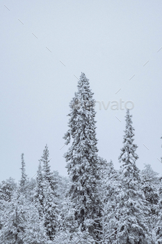 tional Park, Finland