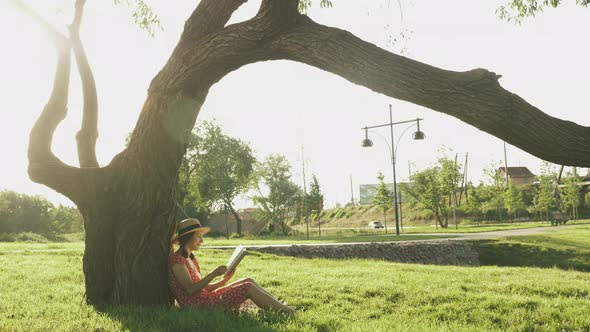 Female sitting on grass near big green tree in city park and reading book at warm summer evening