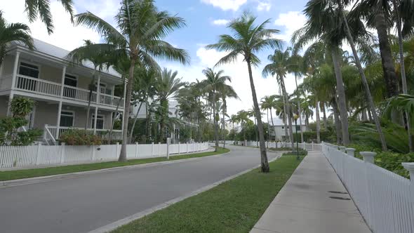 Palm trees and houses on a street alt