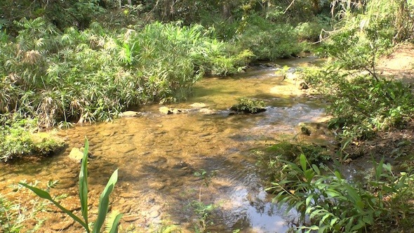 Small Creek In Topes De Collantes, Cuba