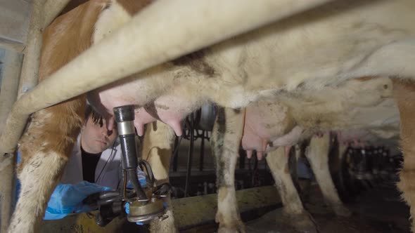 Farmer at the milking unit.