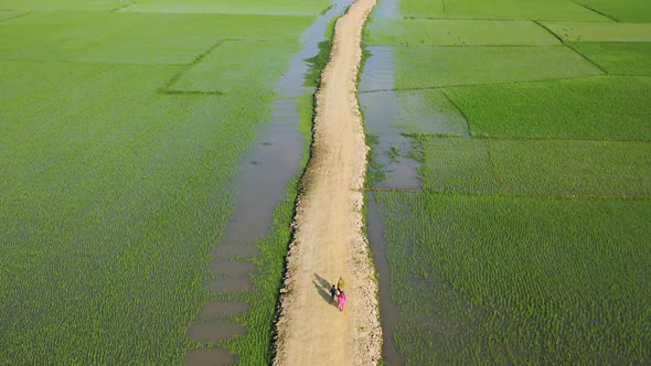 Aerial view of people walking in field, Bangladesh.