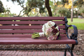 Wedding bouquet of roses and chrysanthemums sitting on an outdoor bench. - PhotoDune Item for Sale