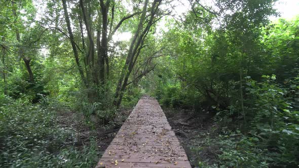 Gimbal shot move at the broken wooden bridge