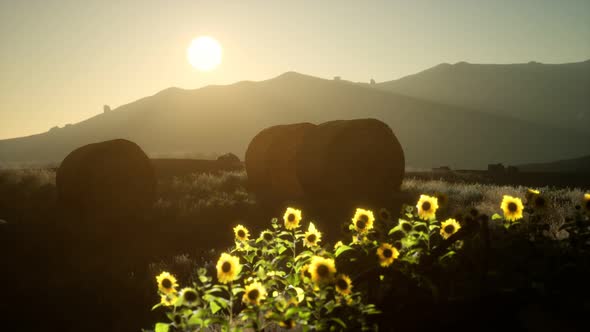 Hay Bales in the Sunset