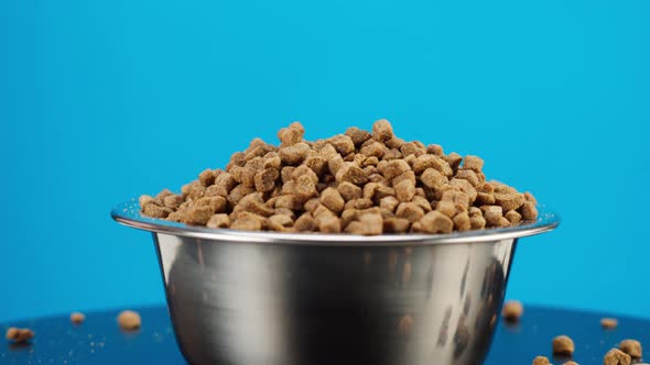 Dried Dog Food in Metal Bowl Closeup Rotating
