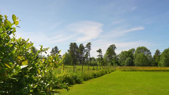 Green lawn and bush in foreground in backyard of rural homestead, time lapse