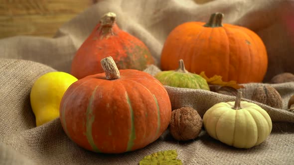 Camera Movement on a Composition of Pumpkins and Autumn Leaves.