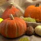 Camera Movement on a Composition of Pumpkins and Autumn Leaves. - VideoHive Item for Sale