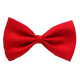 Forest at Night