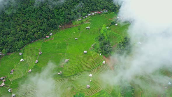 Drone flying over fields in Pa pong piang rice terraces