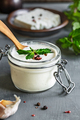 Feta cheese with Garlic Dip - PhotoDune Item for Sale