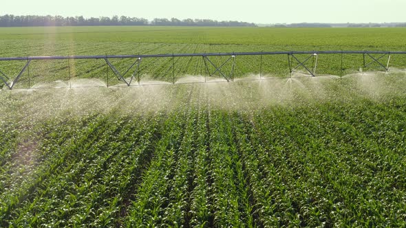 An Irrigation Pivot Watering Agricultural Land