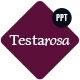 Testarosa Proposal - GraphicRiver Item for Sale