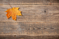 Autumn background with fall maple leaf on wooden background - PhotoDune Item for Sale