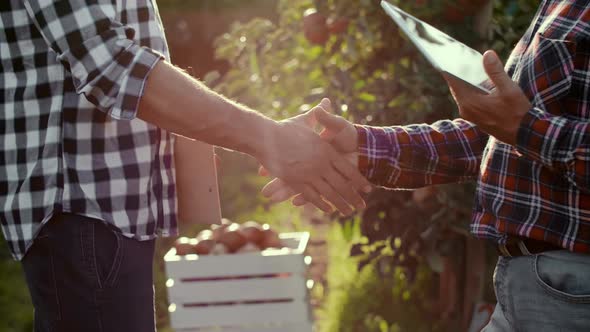 Business partners shaking hands in the apple orchard