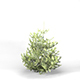 Fir Tree High Poly - Native Nature 8 - 3DOcean Item for Sale