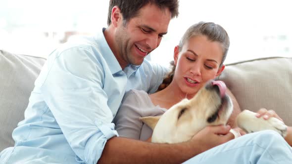 Couple Petting their Labrador Dog on the Couch