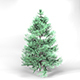 Blue Spruce Tree High Poly Native Nature 10 - 3DOcean Item for Sale