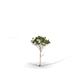 Rosetta Tree High Poly Native Nature 11 - 3DOcean Item for Sale