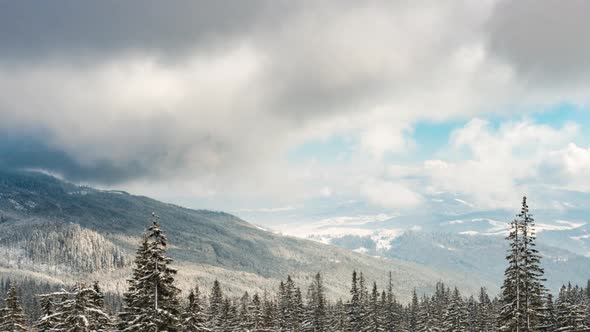 Beautiful Mountain Day Cloudy Winter Firtree