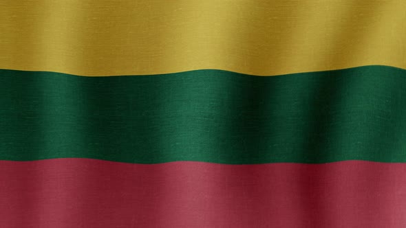 The national flag of Lithuania