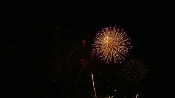 Colorful Firework display at night on sky background