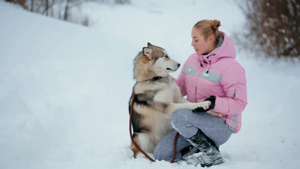 The Dog Gives His Paw to Her Mistress