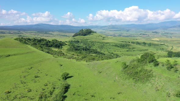 Flying Over Vibrant Green Hills, Pasture in Transylvania, Romania. Aerial View