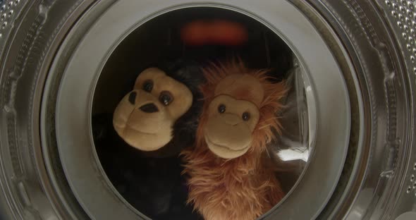 Two Soft Toy Monkeys Peek Into the Washing Machine