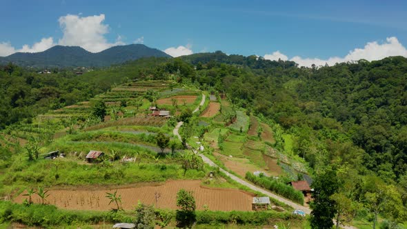 Flying Over Farms In The Countryside Of Bali