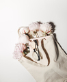 pink peonies flowers in the cotton bag on white background - PhotoDune Item for Sale