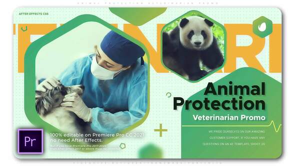 Animal Protection Veterinarian Promo