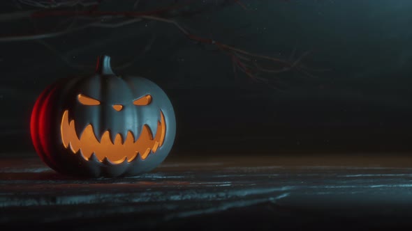 Halloween pumpkin on a black background