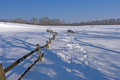 Rural Path in the Winter - PhotoDune Item for Sale