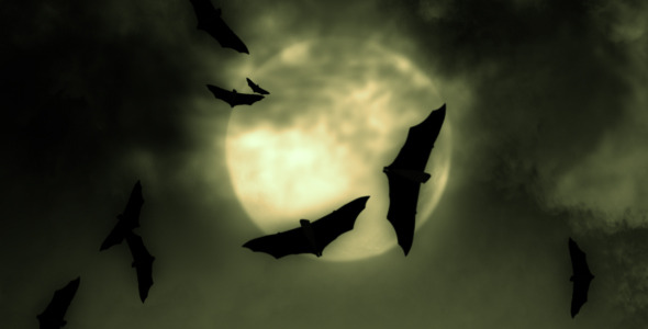Halloween Moon Bats 2