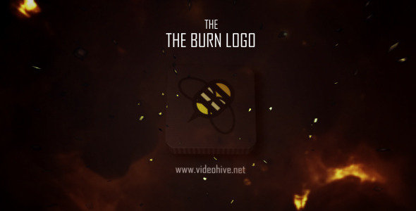 The Burn Logo
