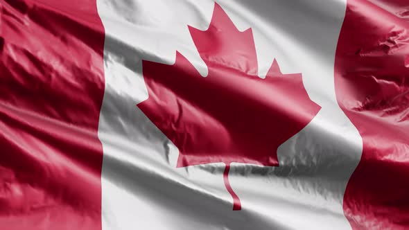 Canada flag waving on the wind. Slow motion. 20 seconds loop.