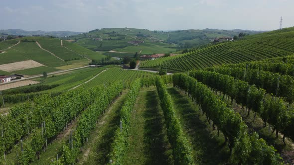 Barbaresco Vineyards in Langhe Roero Monferrato Hills, Piemonte