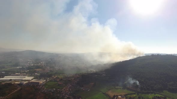 Forest Fire in the Mountains