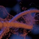 Macro fly through DNA molecule emitting particles teal orange RNA virus broken closeup - VideoHive Item for Sale