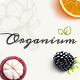 Organium | Organic Food Products WordPress Theme - ThemeForest Item for Sale