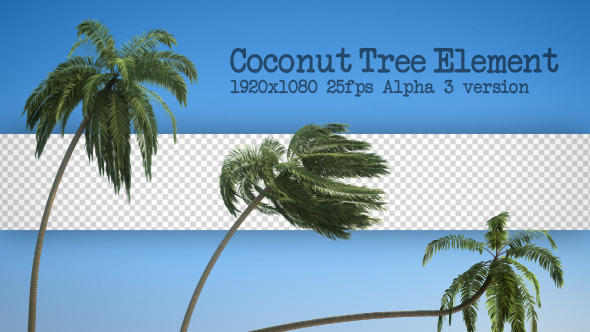 Coconut Tree Element alt
