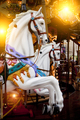 Detail of galloping carousel horses, Avignon, Provence-Alpes-Cote d'Azur, France - PhotoDune Item for Sale