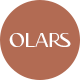 Olars - Candle Handmade Shop WordPress WooCommerce Theme - ThemeForest Item for Sale